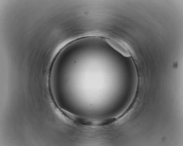 X0000092070854200709191202