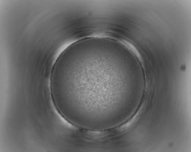 X0000092070855200709191202