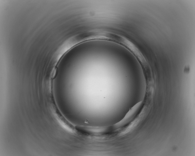 X0000092070858200709191202