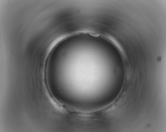 X0000092070861200709191202