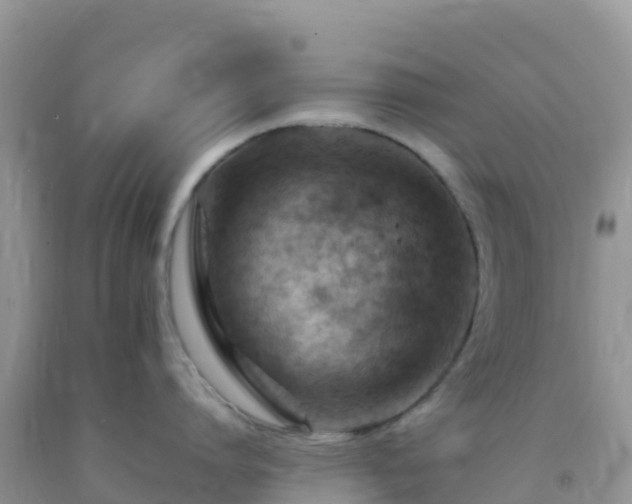 X0000092070864200709191202
