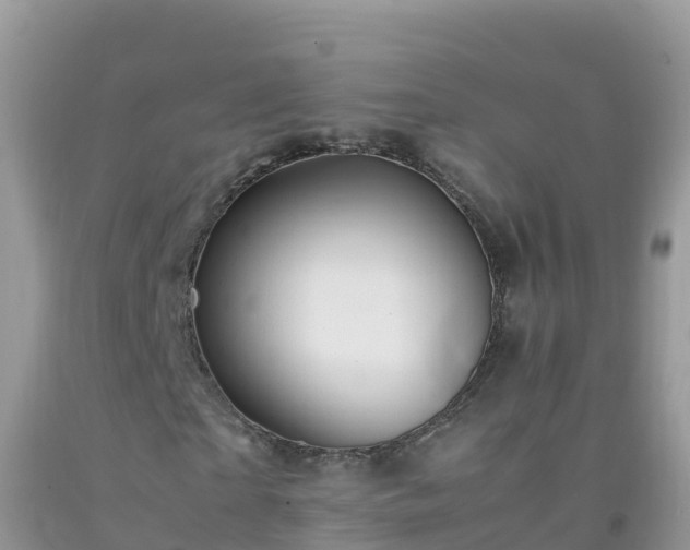 X0000092070865200709191201