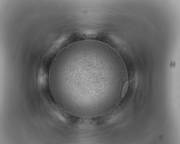 X0000092070866200709191201