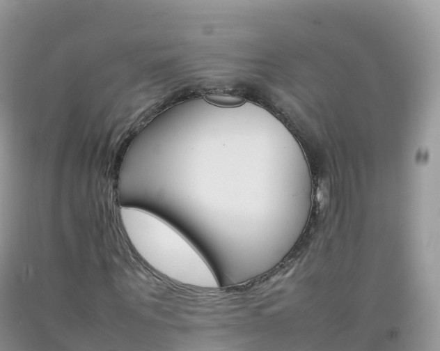 X0000092070867200709191201