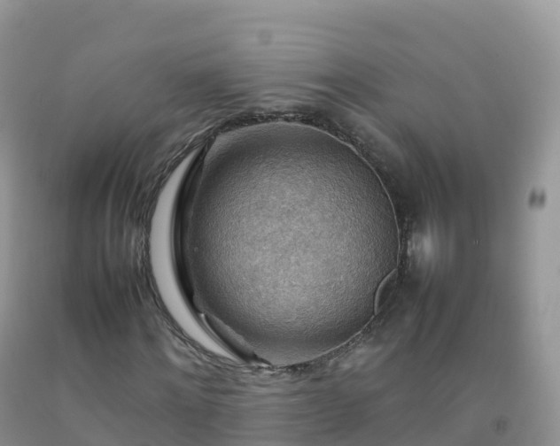 X0000092070868200709191201