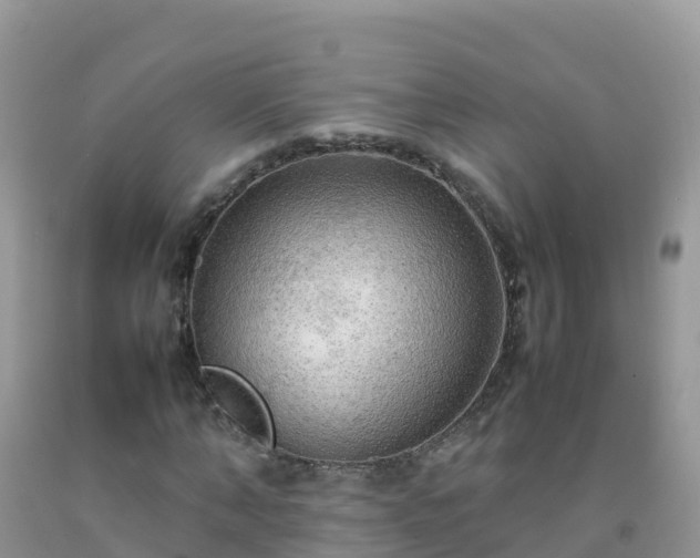 X0000092070870200709191201