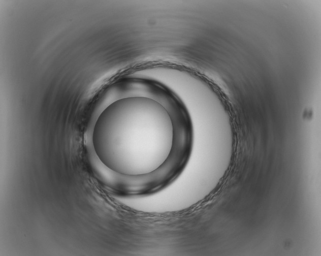 X0000092070872200709191201