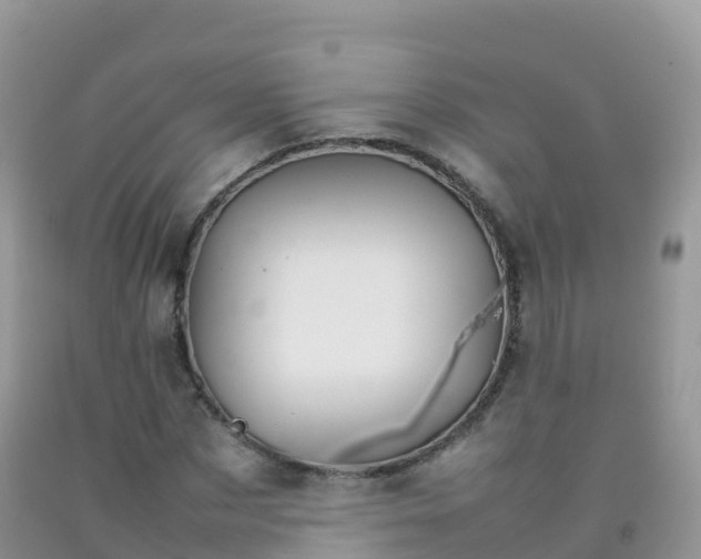 X0000092070873200709191201