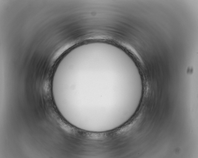 X0000092070874200709191201