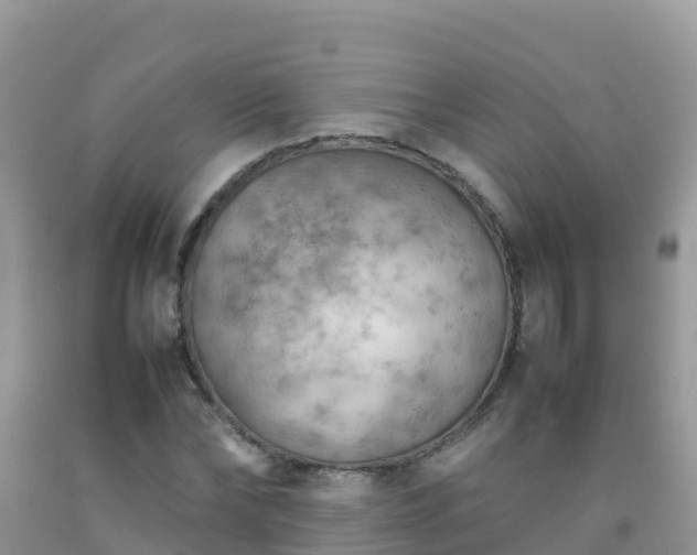 X0000092070878200709191201