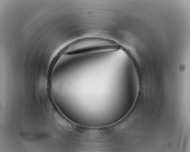 X0000092070880200709191201