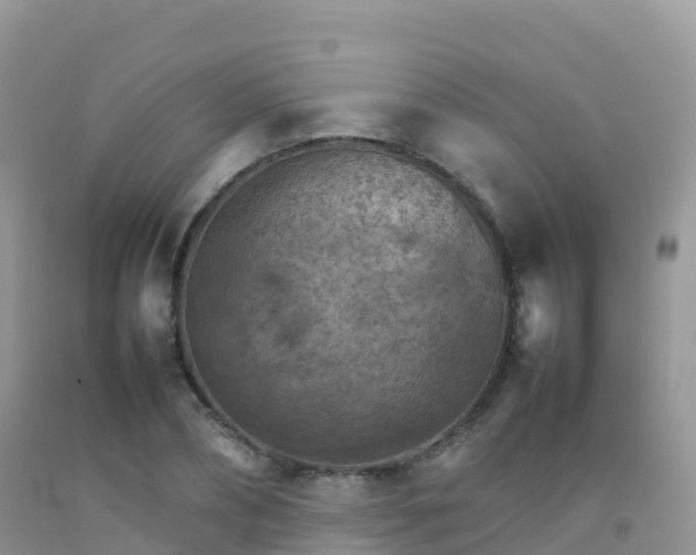 X0000092070882200709191201