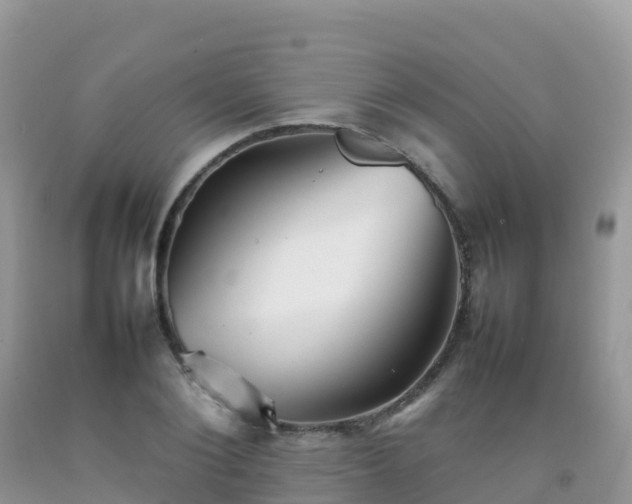X0000092070884200709191201