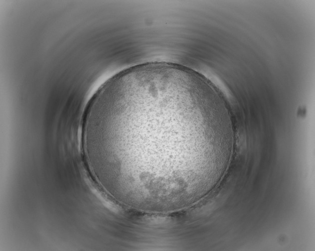 X0000092070886200709191201