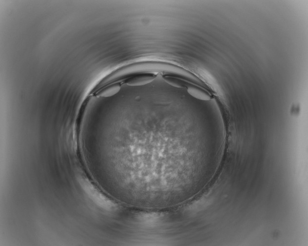 X0000092070892200709191201