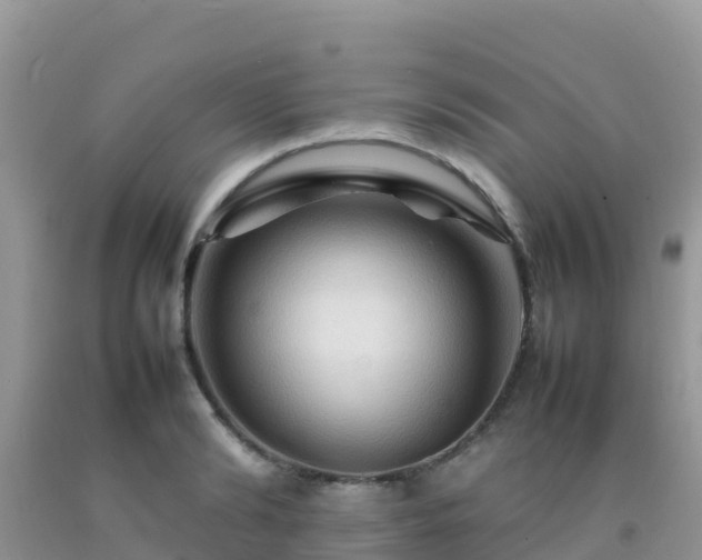 X0000092070894200709191201