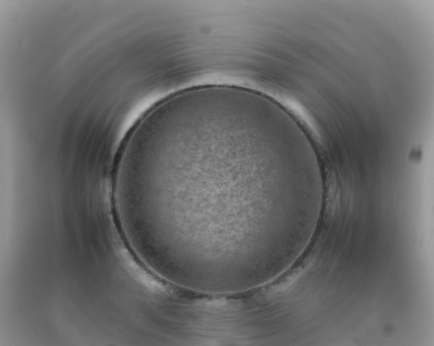 X0000092070896200709191201