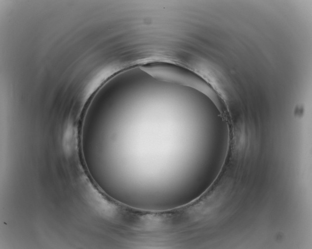 X0000092070898200709191201