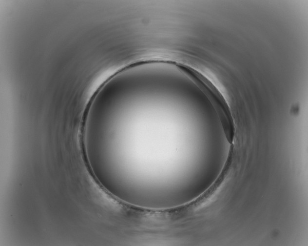 X0000092070901200709191201