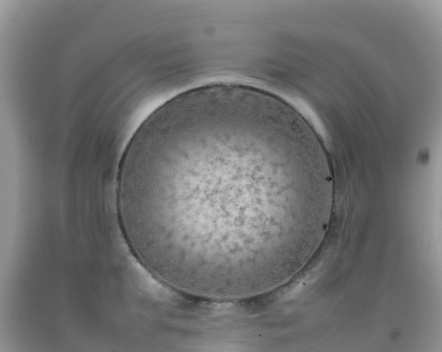 X0000092070903200709191201