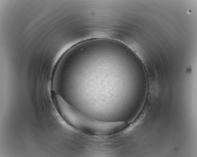 X0000092070904200709191201