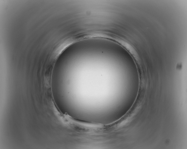 X0000092070905200709191201