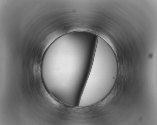 X0000092070906200709191201