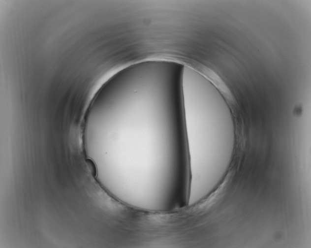X0000092070908200709191201