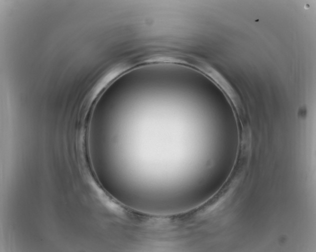 X0000092070909200709191201