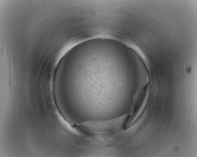 X0000092070910200709191201