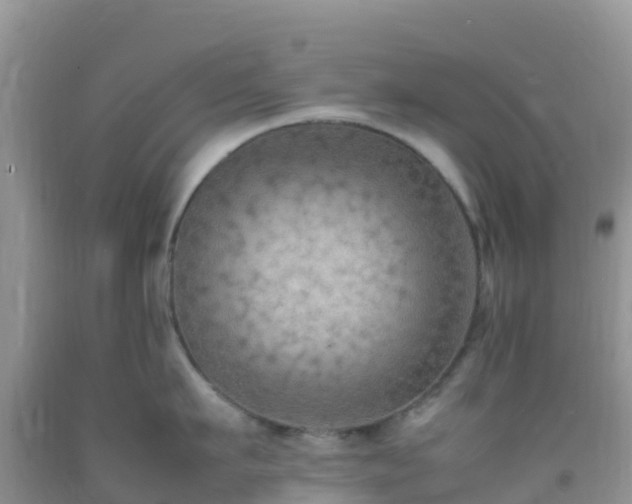 X0000092070911200709191201