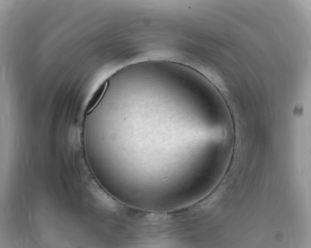 X0000092070912200709191201