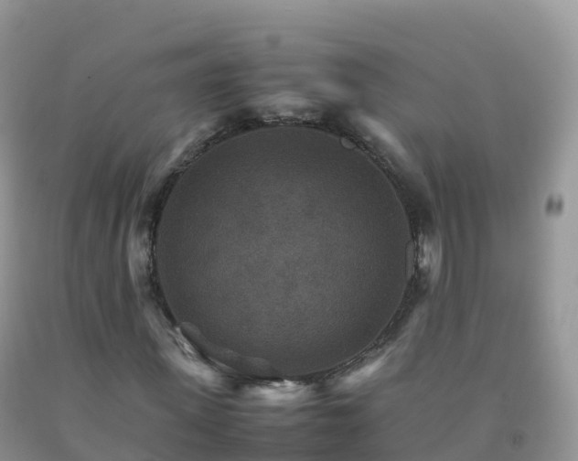 X0000092070915200709191200