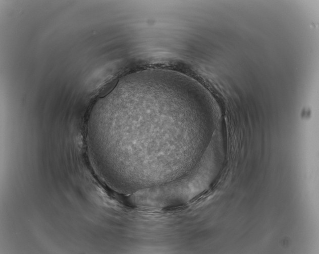 X0000092070916200709191200