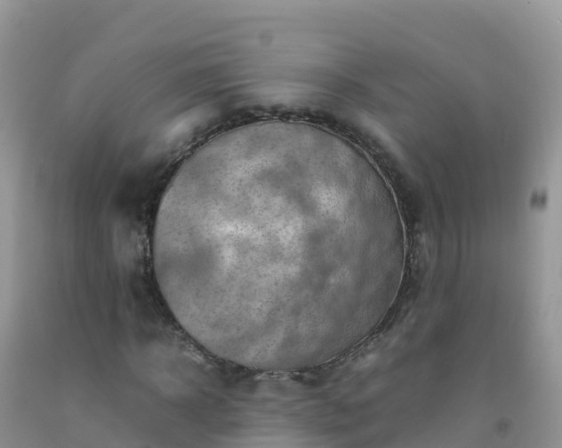 X0000092070918200709191200