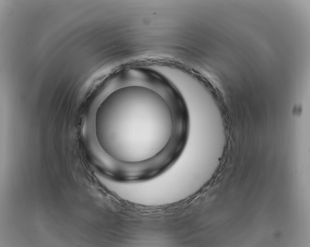X0000092070920200709191200