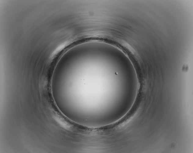 X0000092070922200709191200