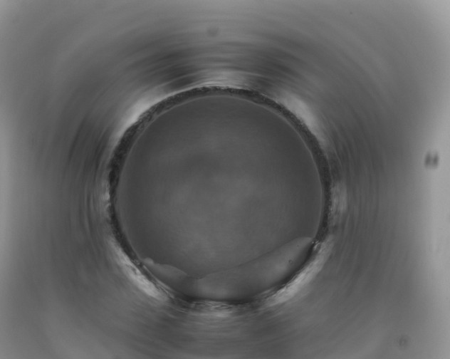 X0000092070923200709191200