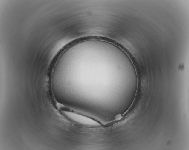 X0000092070926200709191200