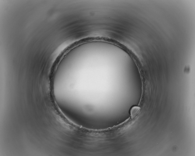 X0000092070927200709191200