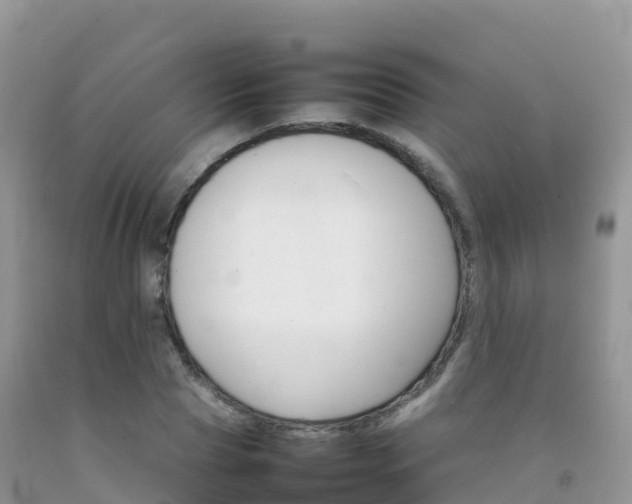 X0000092070929200709191200