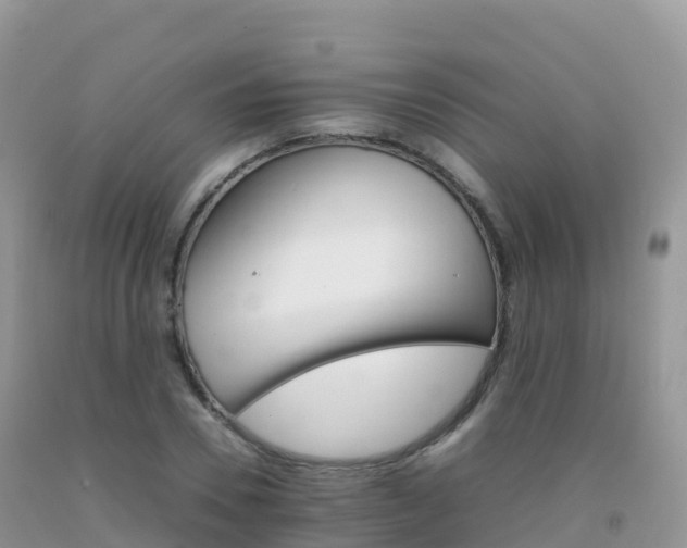 X0000092070930200709191200