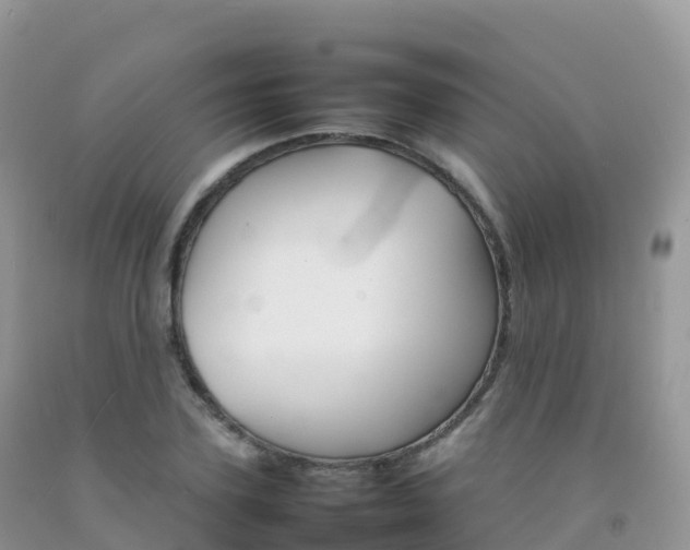 X0000092070931200709191200