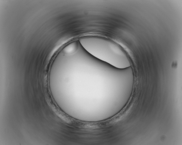 X0000092070933200709191200