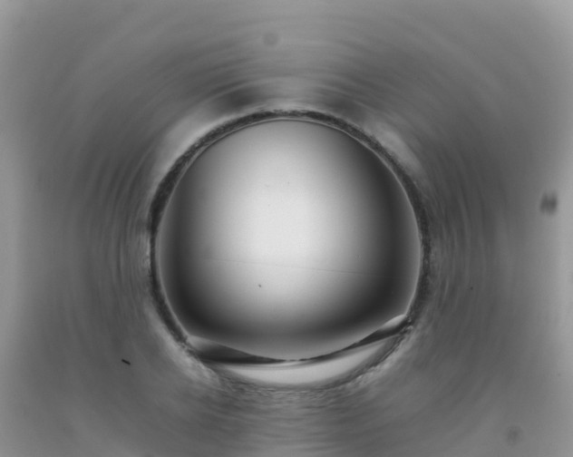 X0000092070934200709191200