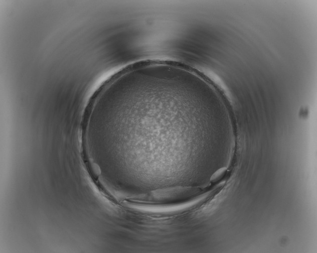 X0000092070935200709191200