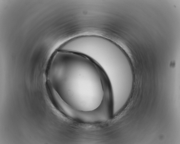 X0000092070936200709191200