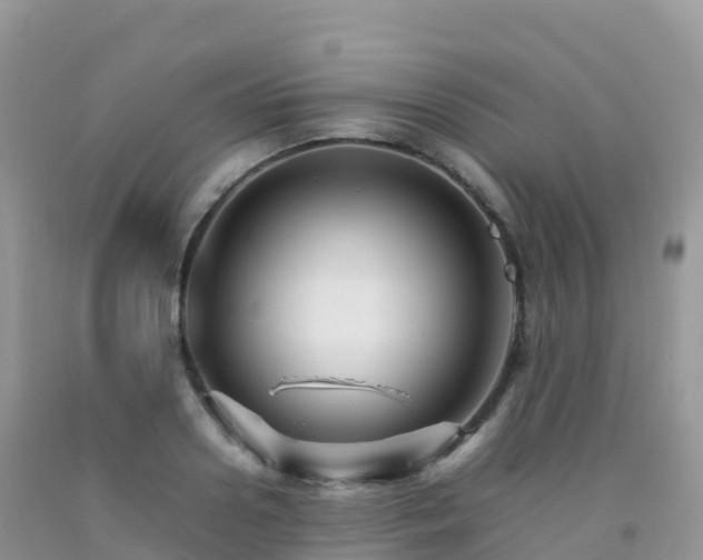 X0000092070938200709191200