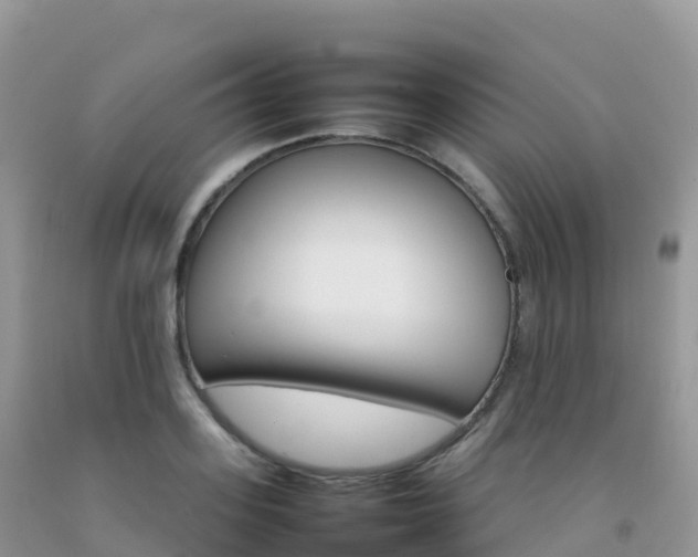 X0000092070939200709191200