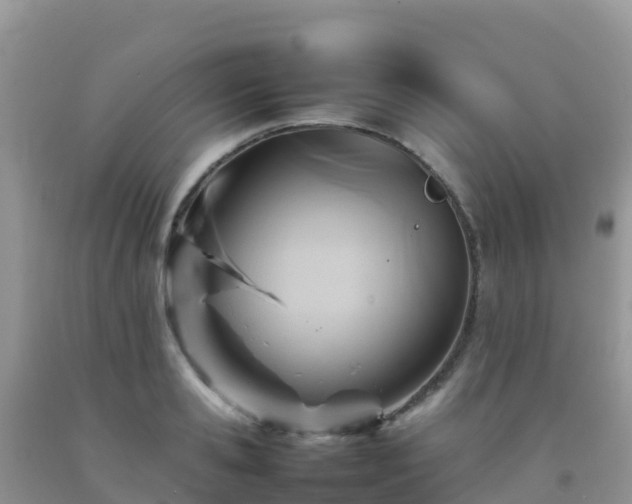 X0000092070941200709191200